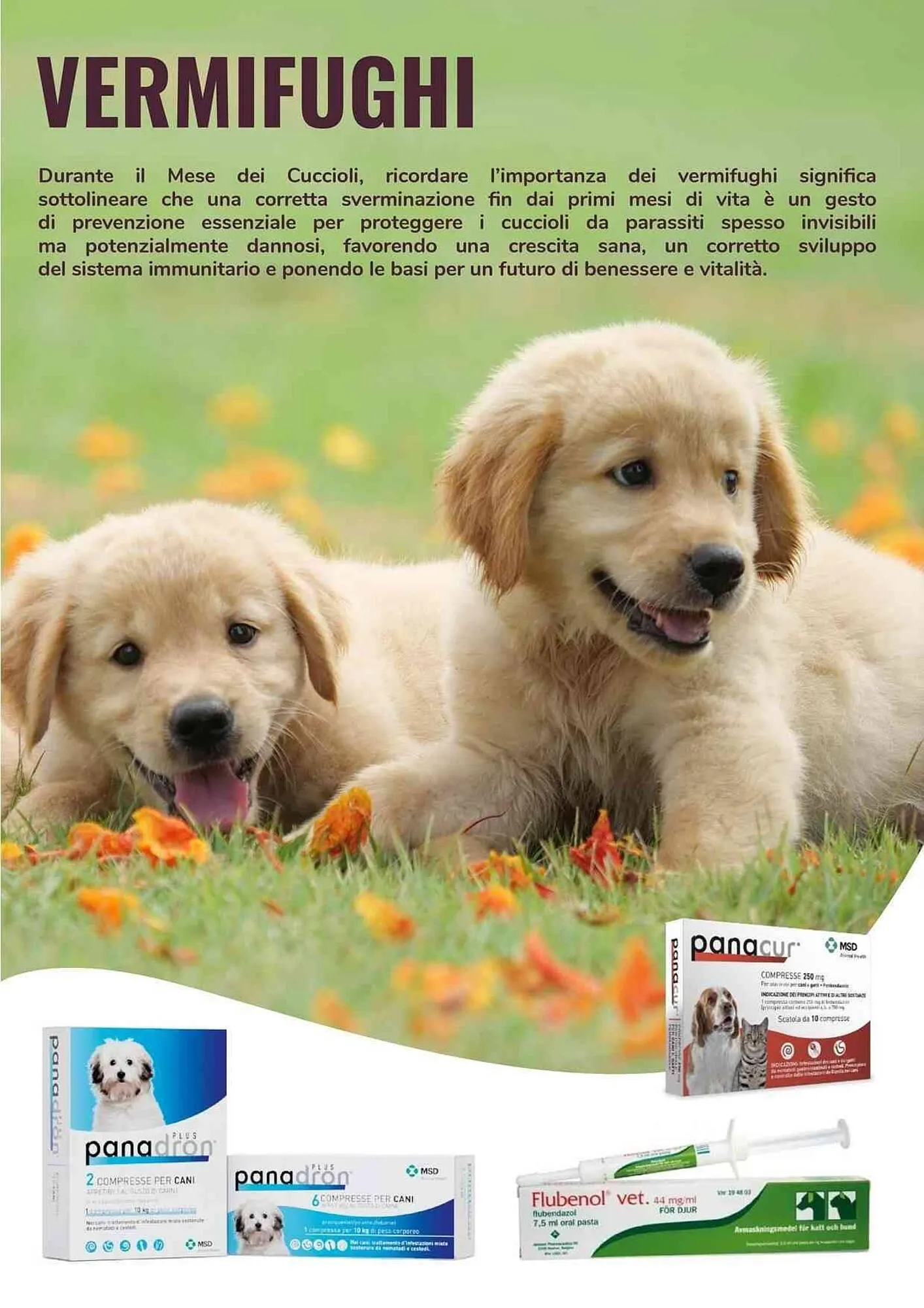 Volantino ZooPlanet da 9 marzo a 29 marzo di 2026 - Pagina del volantino 8