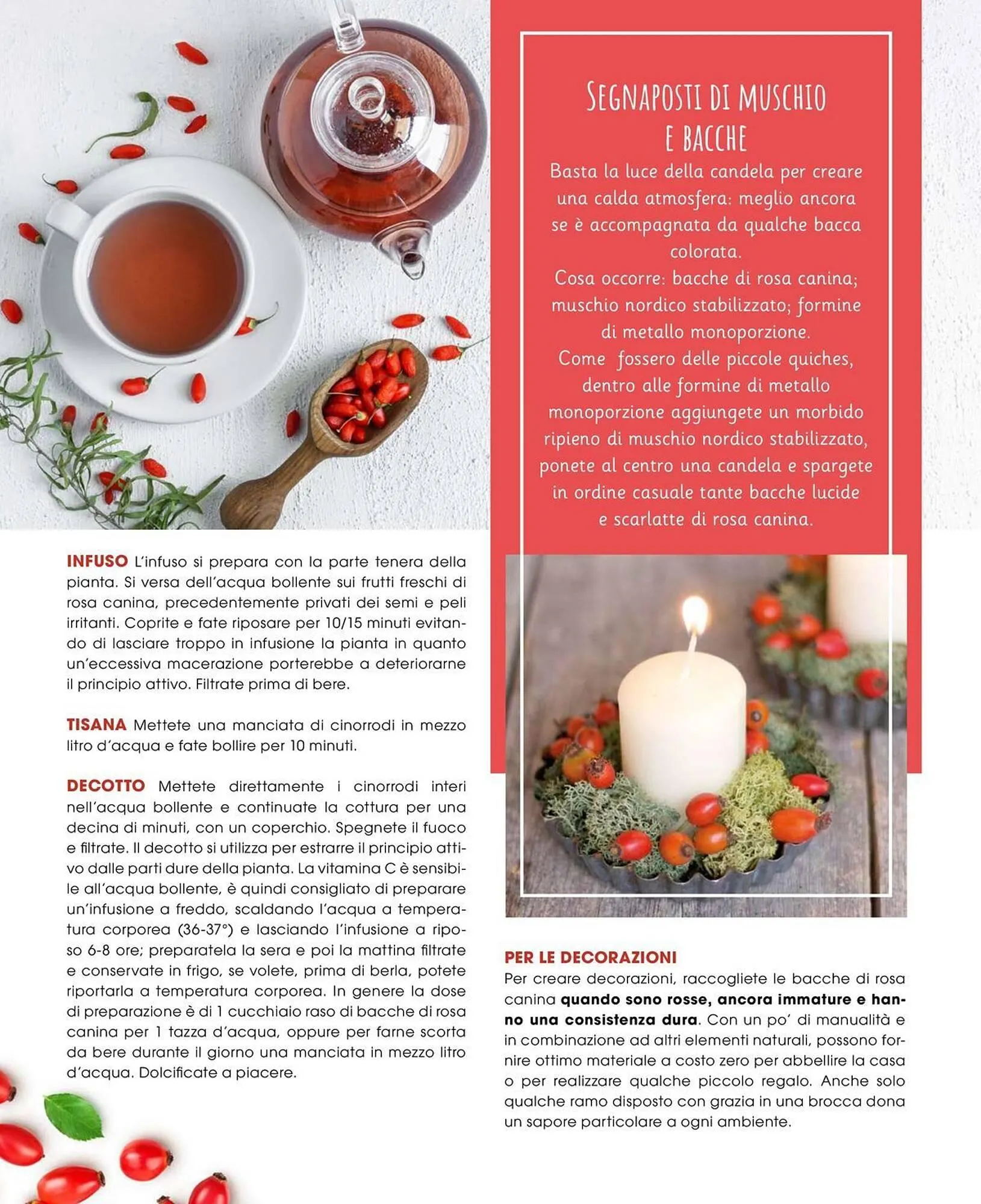 Volantino A&O da 1 novembre a 31 dicembre di 2025 - Pagina del volantino 61