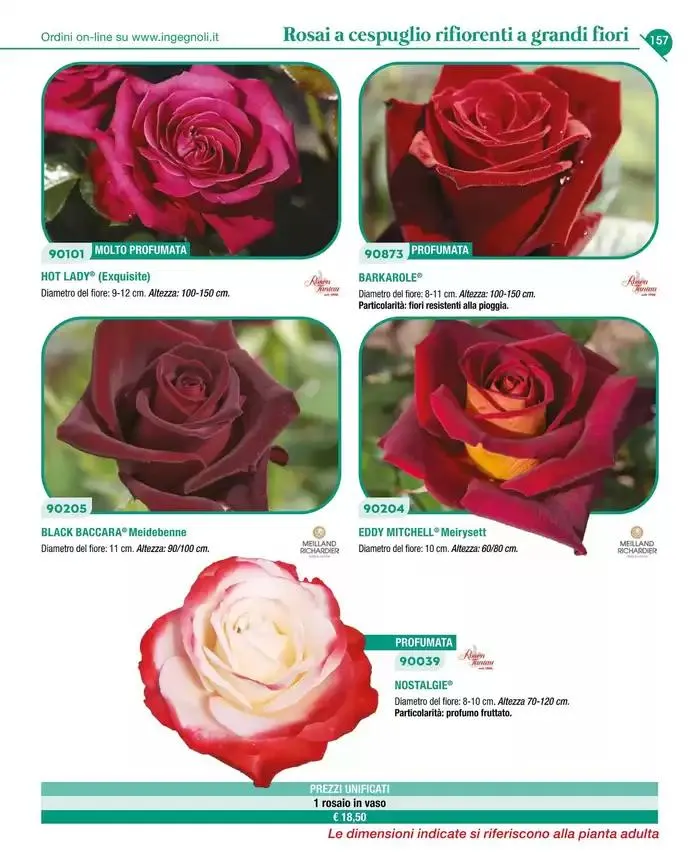 Catalogo guida 2025 da 20 gennaio a 31 dicembre di 2025 - Pagina del volantino 159