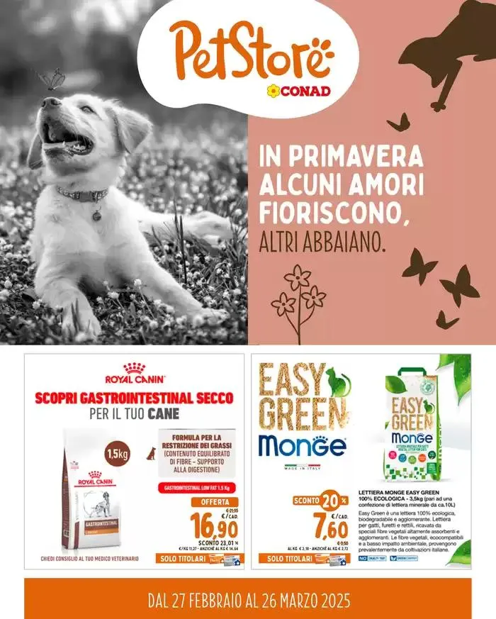 IN PRIMAVERA ALCUNI AMORI FIORISCONO, ALTRI ABBAIANO. - 1