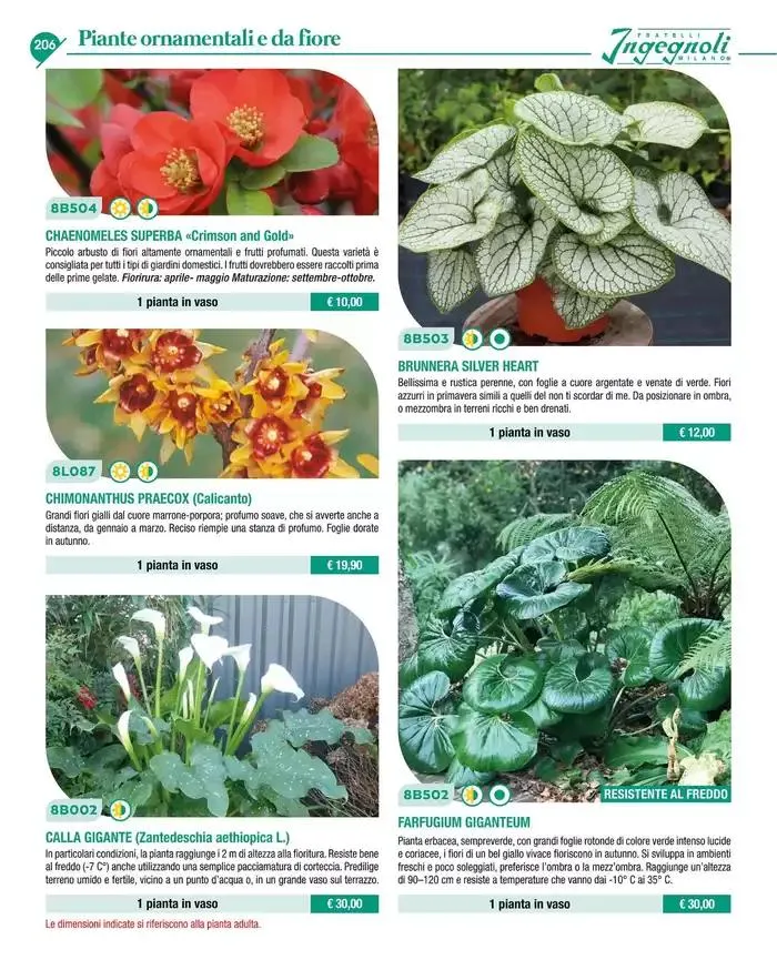 Catalogo guida 2025 da 20 gennaio a 31 dicembre di 2025 - Pagina del volantino 208
