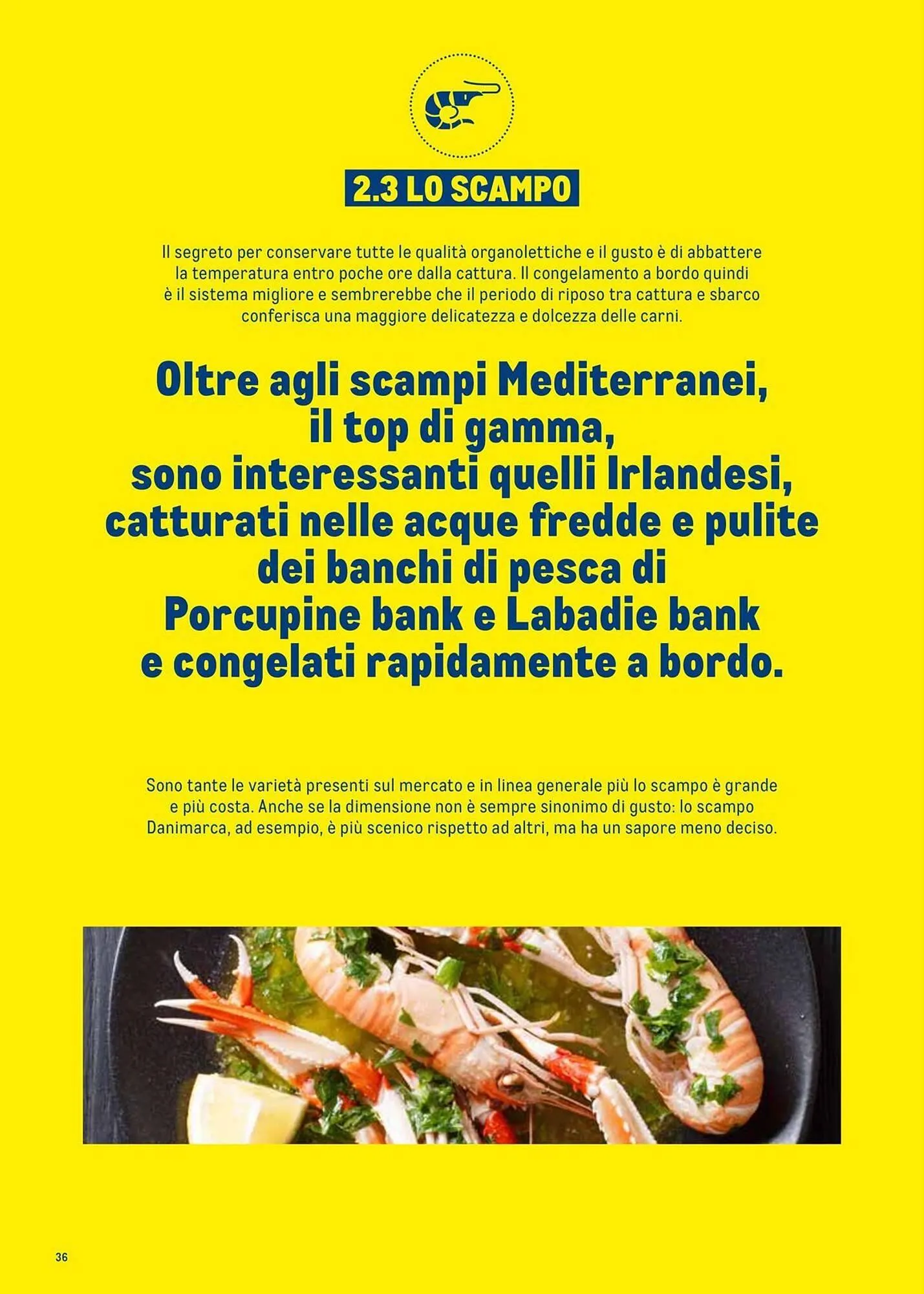 Volantino Metro da 1 luglio a 30 giugno di 2026 - Pagina del volantino 36