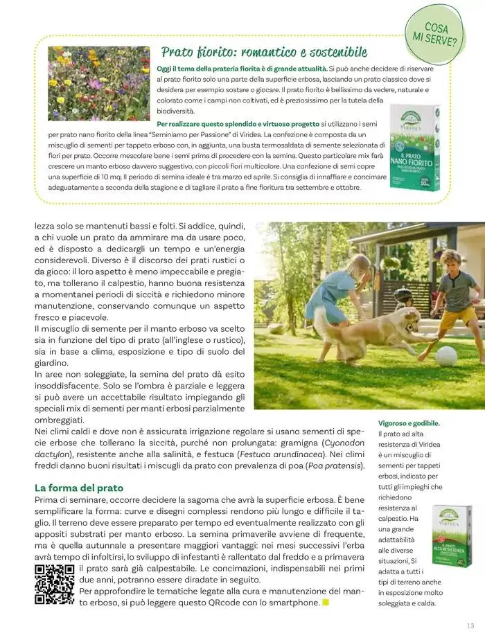 Idee per la vita all' aperto da 18 aprile a 18 maggio di 2025 - Pagina del volantino 13