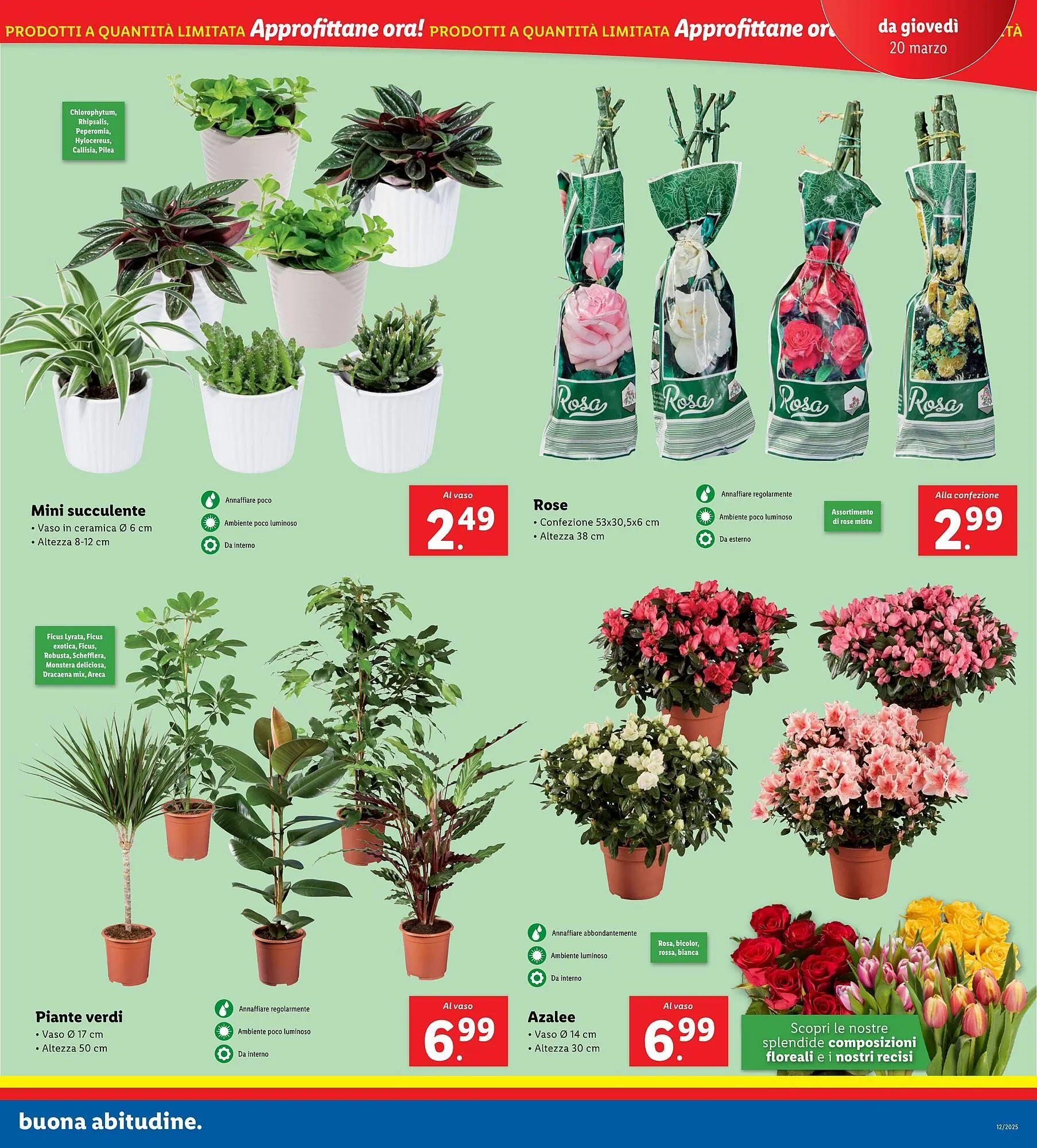 Volantino Lidl da 17 marzo a 23 marzo di 2025 - Pagina del volantino 29