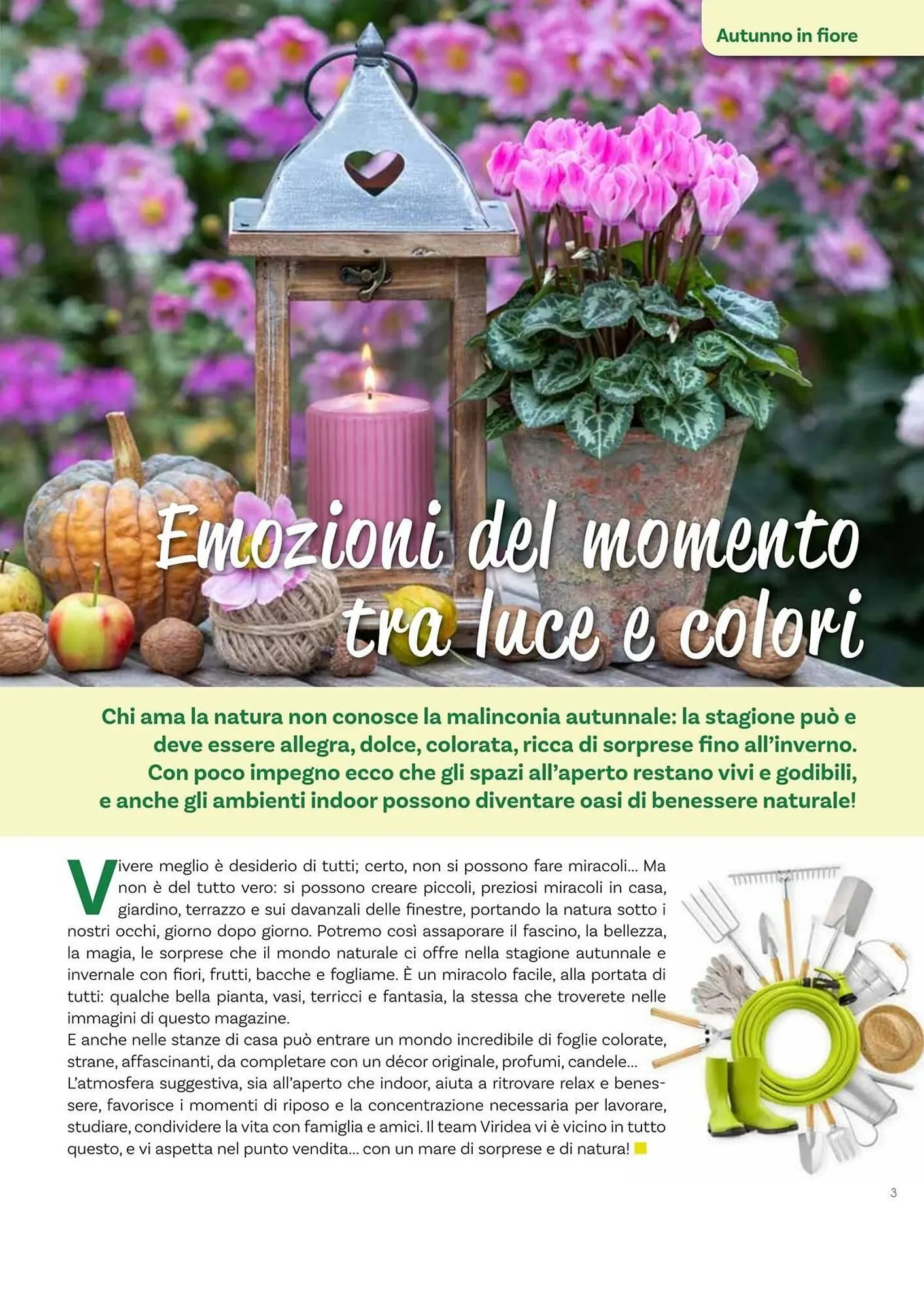 Volantino Viridea da 17 ottobre a 22 dicembre di 2025 - Pagina del volantino 3