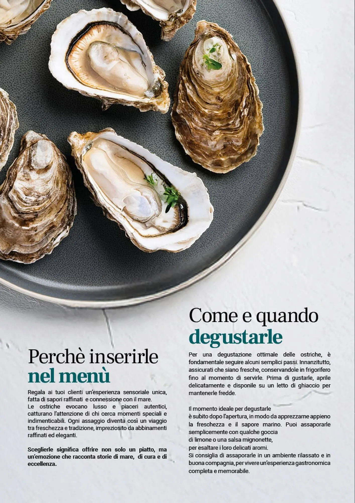 Volantino Altasfera da 14 aprile a 31 dicembre di 2025 - Pagina del volantino 4