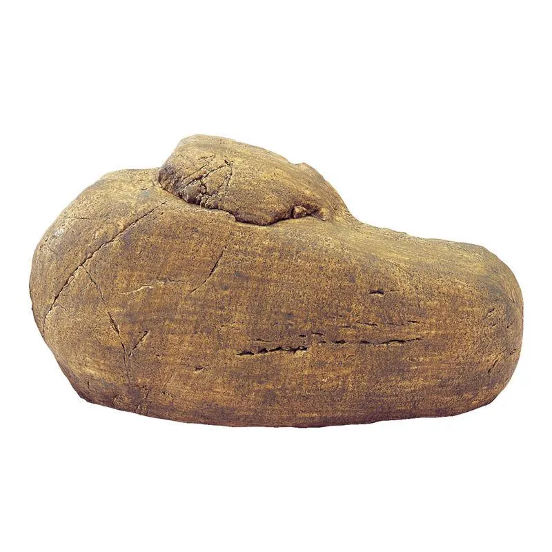 Exo Terra Reptile Den Medium Tana a Tunnel