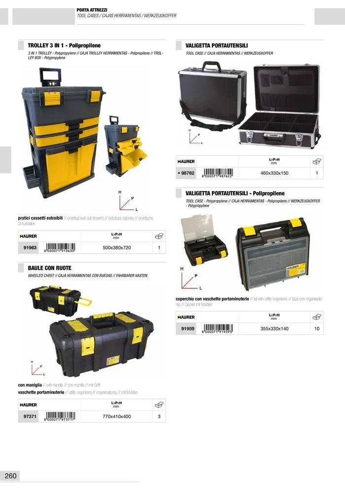 Catalogo Generale da 10 gennaio a 13 maggio di 2025 - Pagina del volantino 261