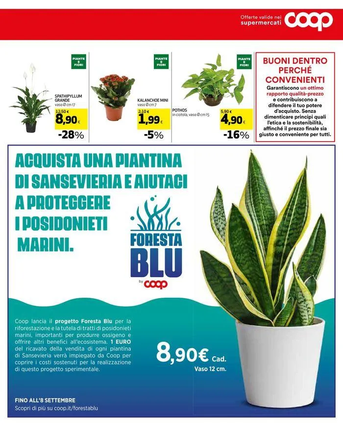 Sconti fino al 50% da 18 luglio a 31 luglio di 2024 - Pagina del volantino 7