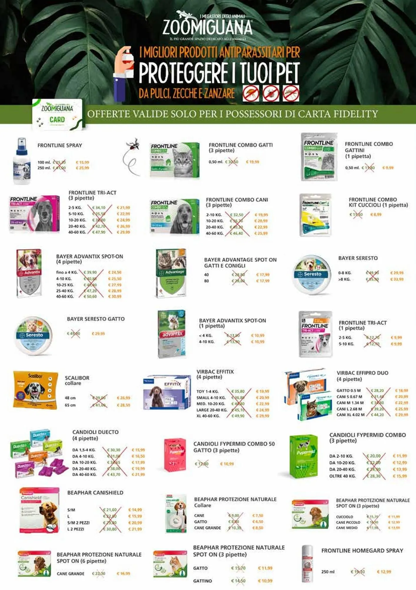 Volantino Zoomiguana da 7 dicembre a 7 gennaio di 2024 - Pagina del volantino 2