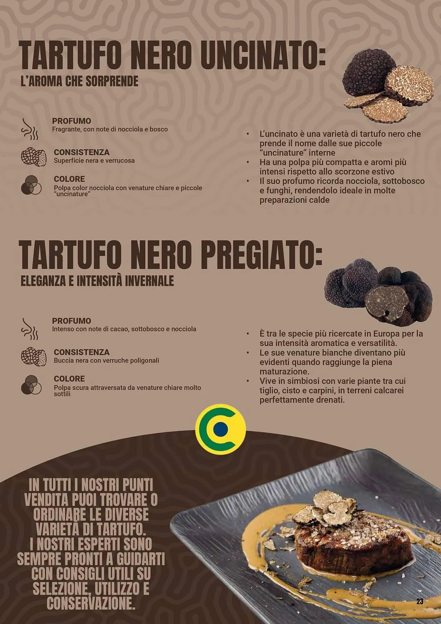 Volantino Centro Cash da 8 dicembre a 21 dicembre di 2025 - Pagina del volantino 23