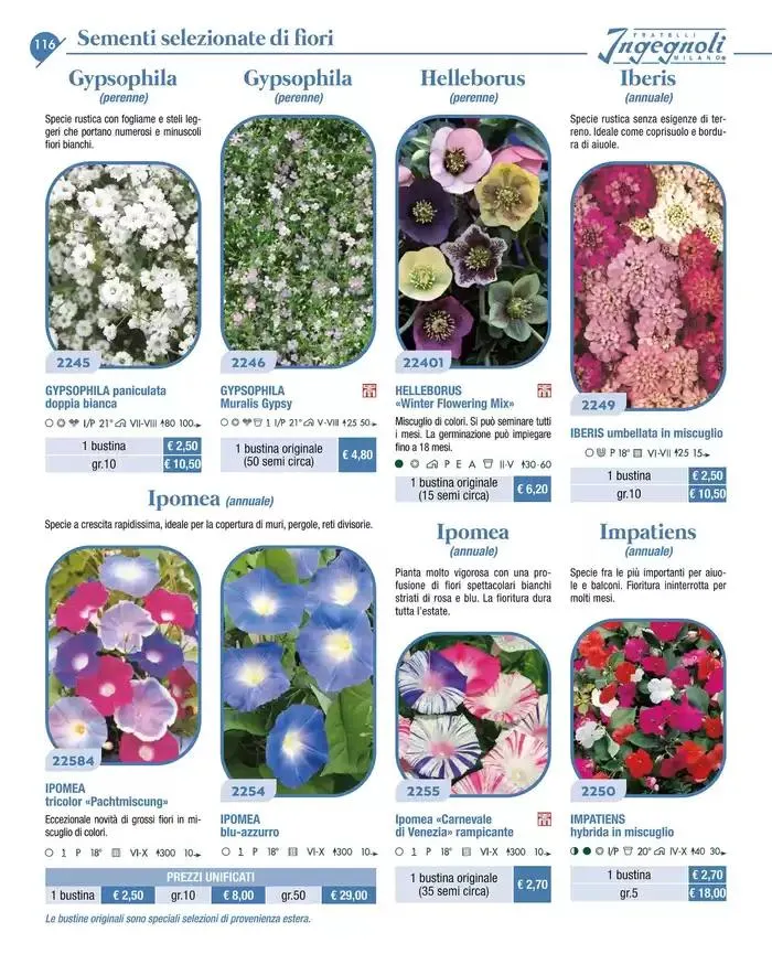 Catalogo guida 2025 da 20 gennaio a 31 dicembre di 2025 - Pagina del volantino 118