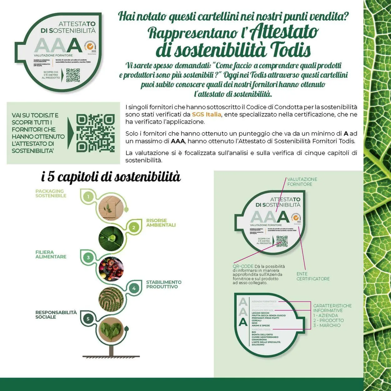 Todis Volantino attuale da 11 giugno a 25 giugno di 2025 - Pagina del volantino 7