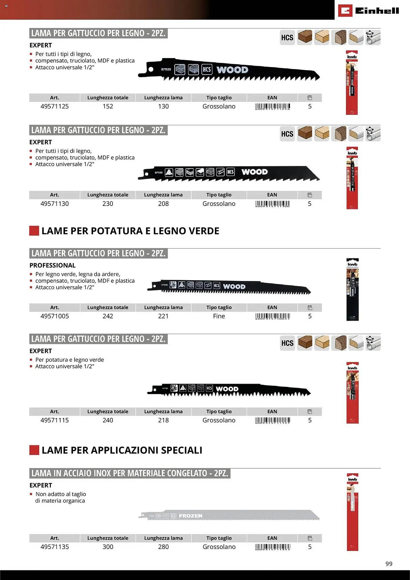 Volantino Einhell da 17 marzo a 31 dicembre di 2026 - Pagina del volantino 101