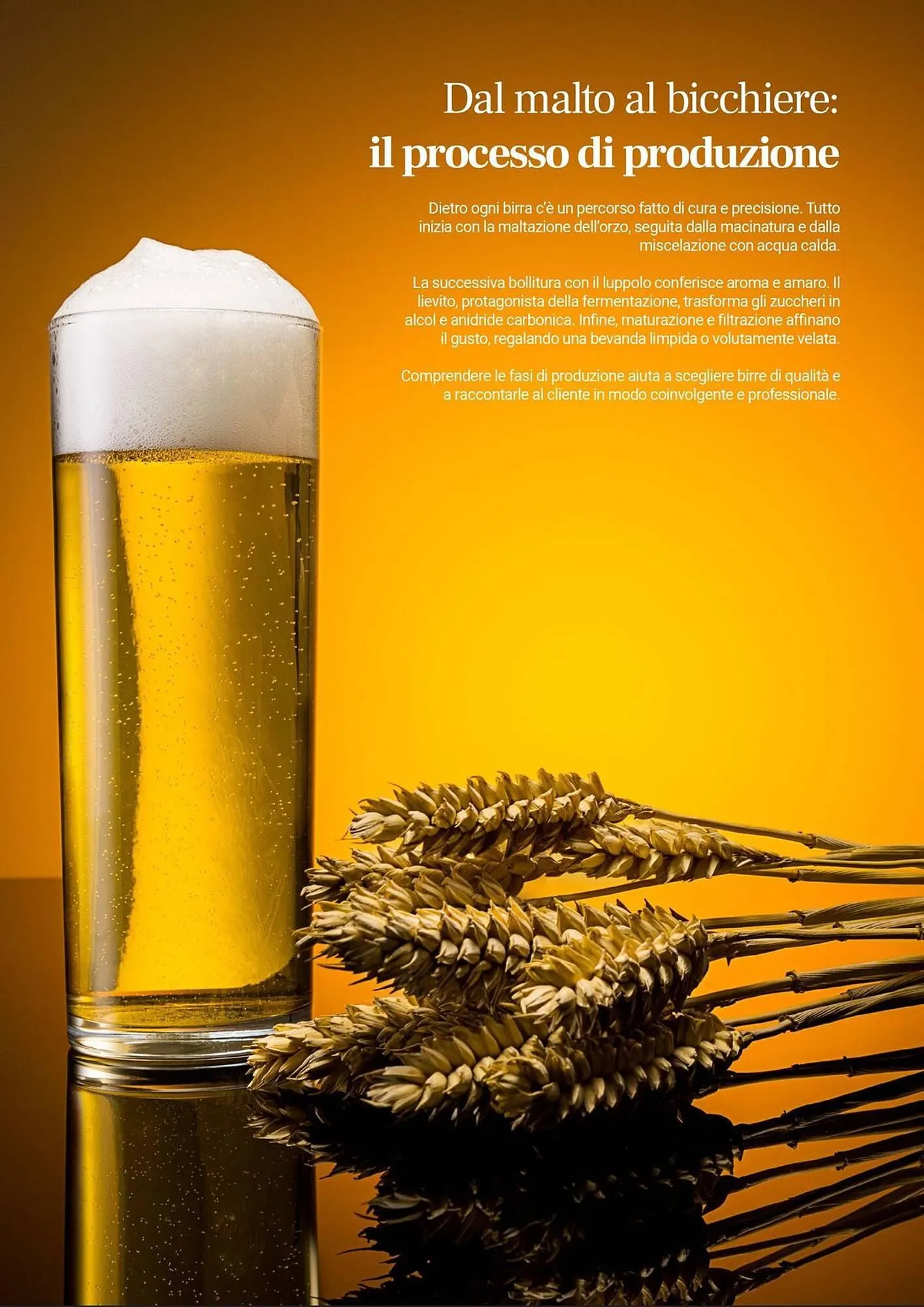 Volantino Centro Cash da 15 settembre a 31 dicembre di 2025 - Pagina del volantino 4