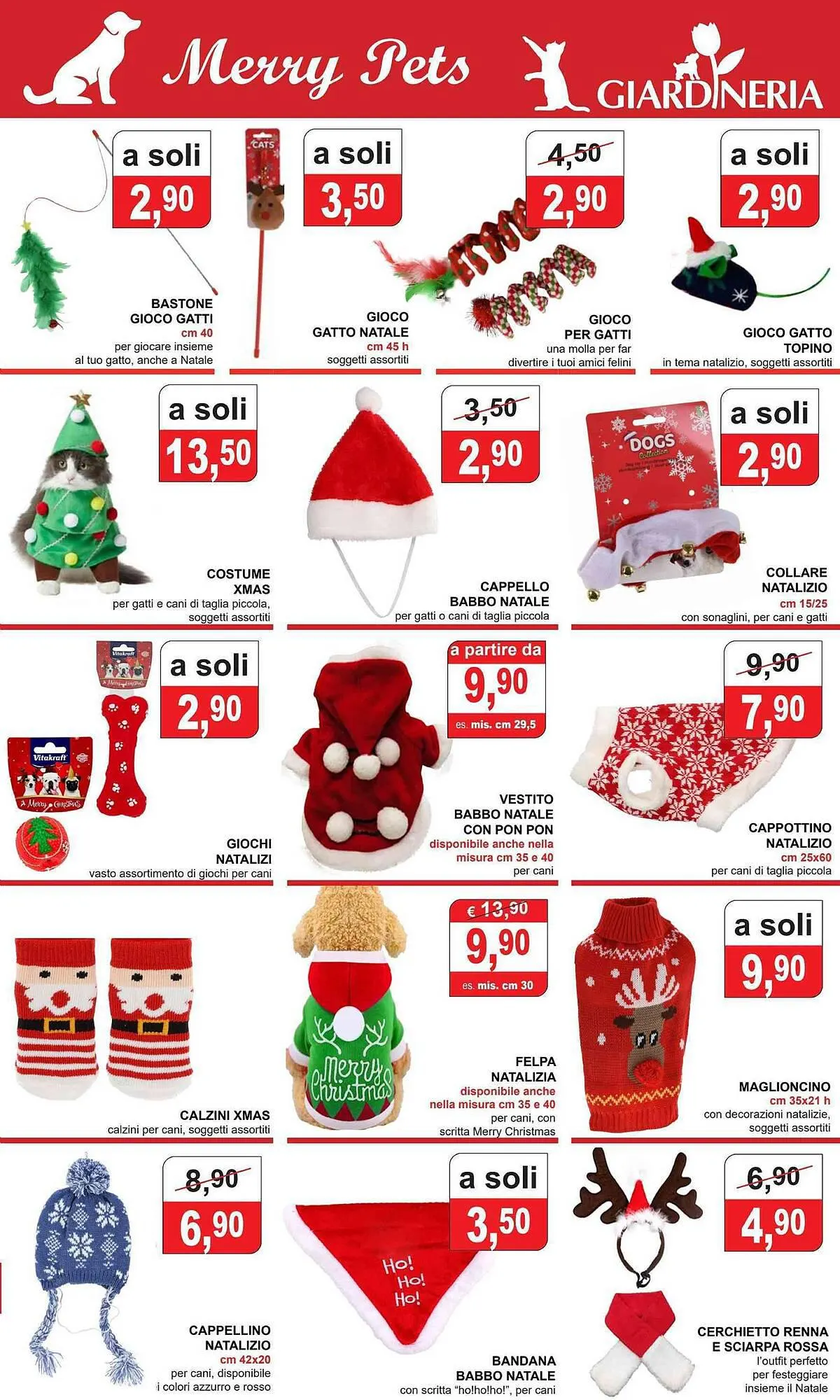 Volantino Giardineria da 22 novembre a 7 gennaio di 2024 - Pagina del volantino 7