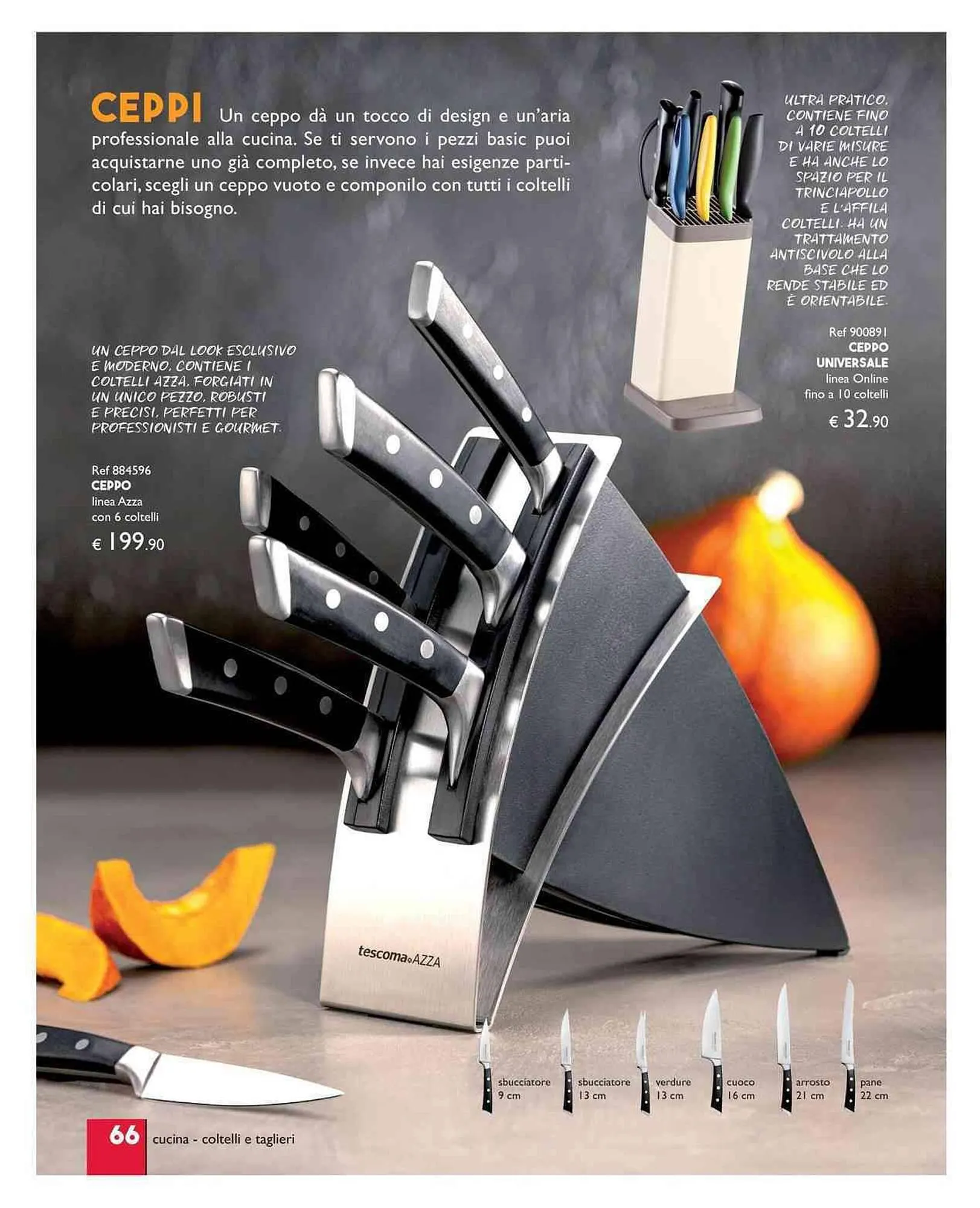 Volantino Tescoma da 11 luglio a 31 dicembre di 2023 - Pagina del volantino 66