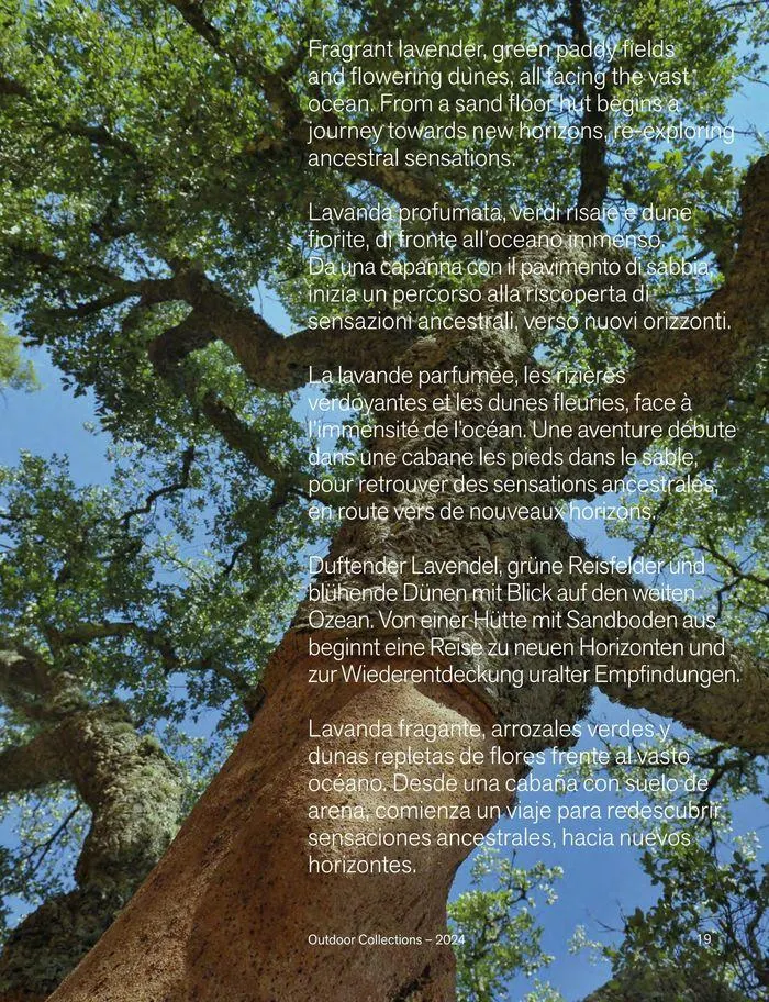 Outdoor decor collections 2024 da 1 febbraio a 30 giugno di 2024 - Pagina del volantino 21