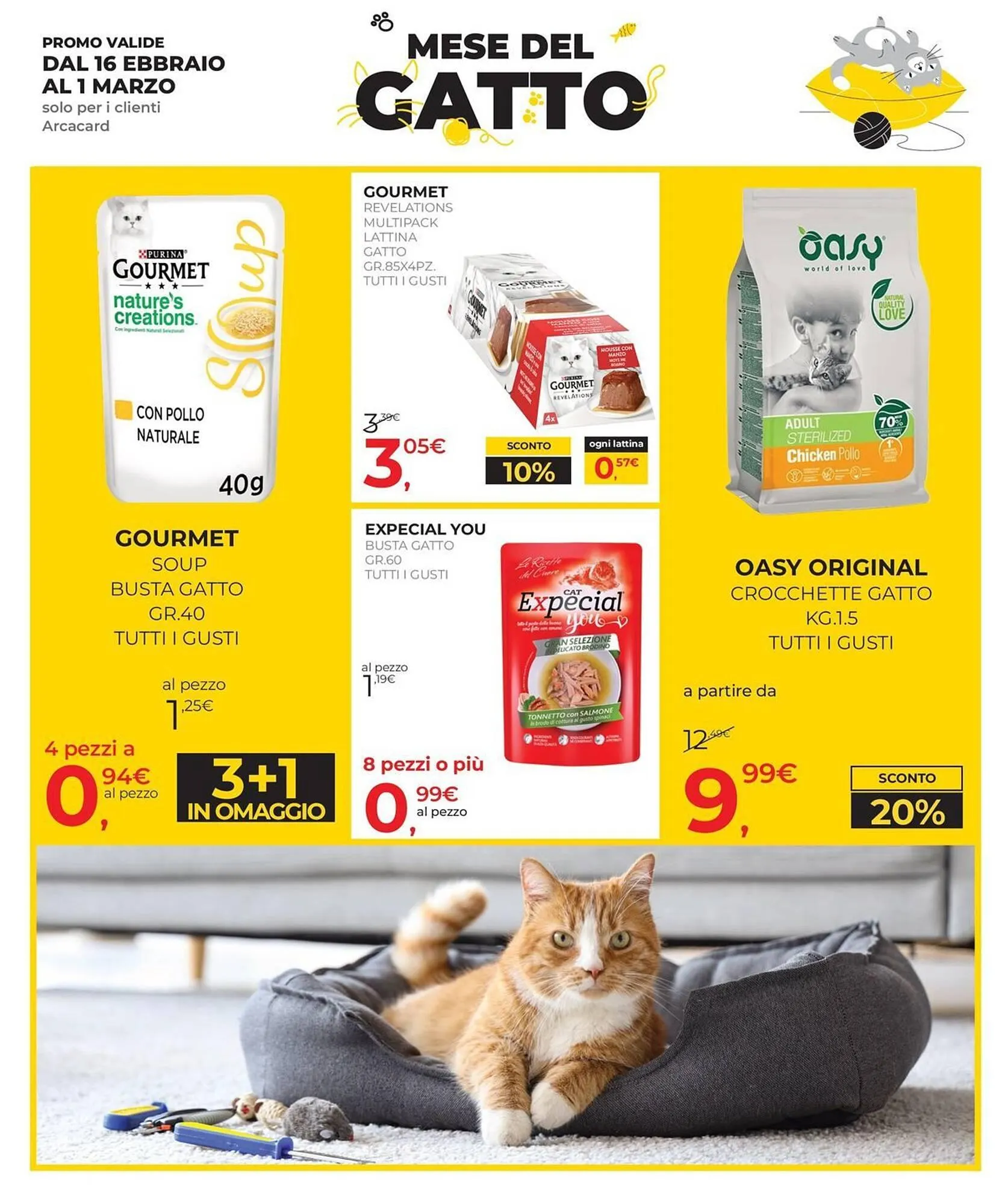 Volantino Arcaplanet da 16 febbraio a 28 febbraio di 2026 - Pagina del volantino 17