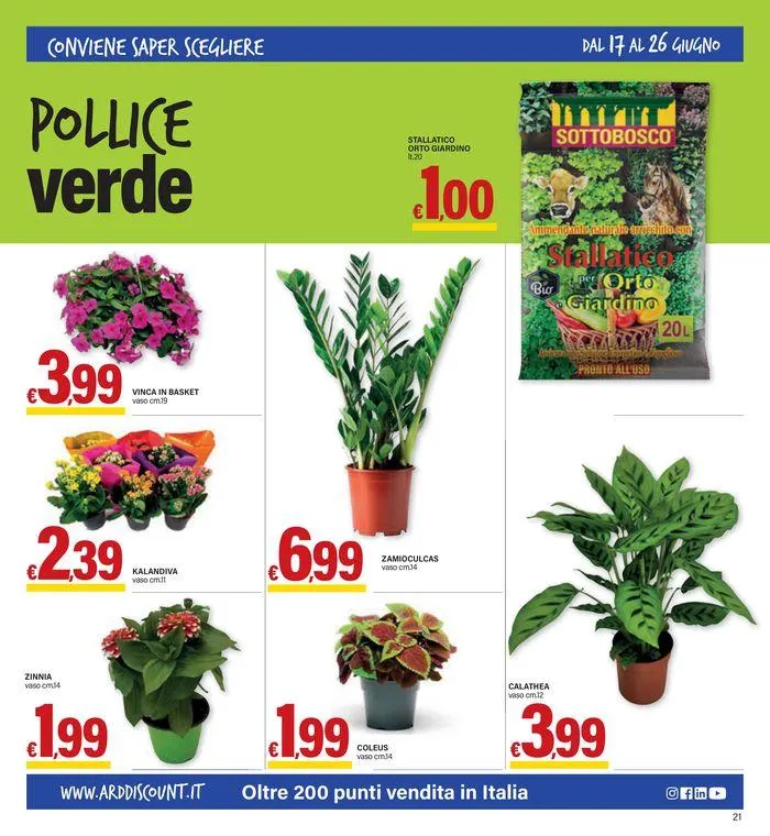 Nuova apertura Cropani Marina da 13 giugno a 26 giugno di 2024 - Pagina del volantino 21