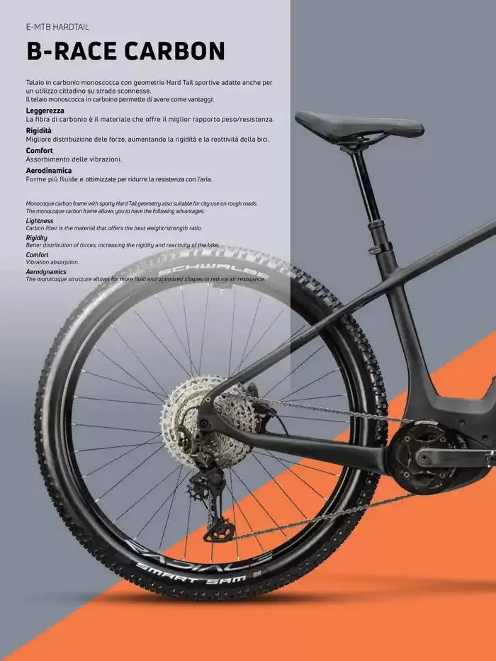 Whistle da 20 novembre a 31 dicembre di 2025 - Pagina del volantino 36