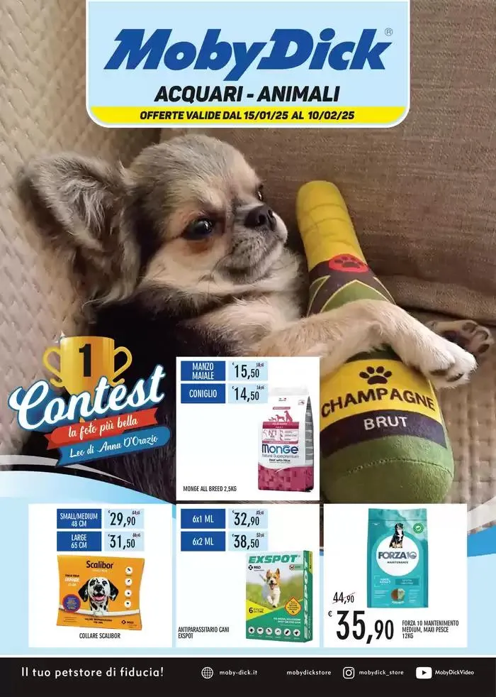 Acquari animali da 15 gennaio a 10 febbraio di 2025 - Pagina del volantino 1