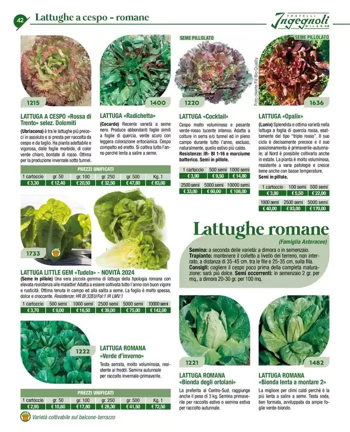 Novita 2025 da 4 novembre a 31 dicembre di 2025 - Pagina del volantino 41