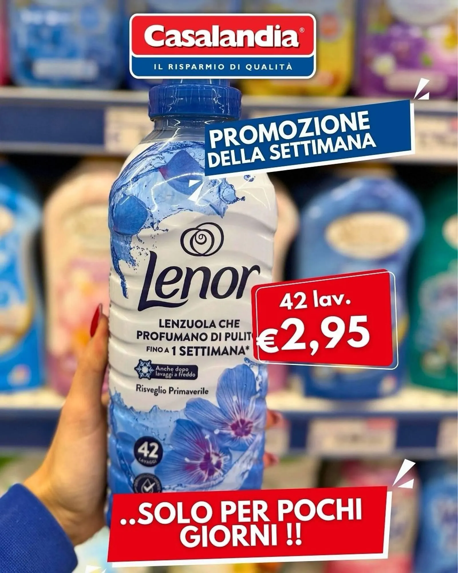 Volantino Casalandia da 18 marzo a 24 marzo di 2026 - Pagina del volantino 2