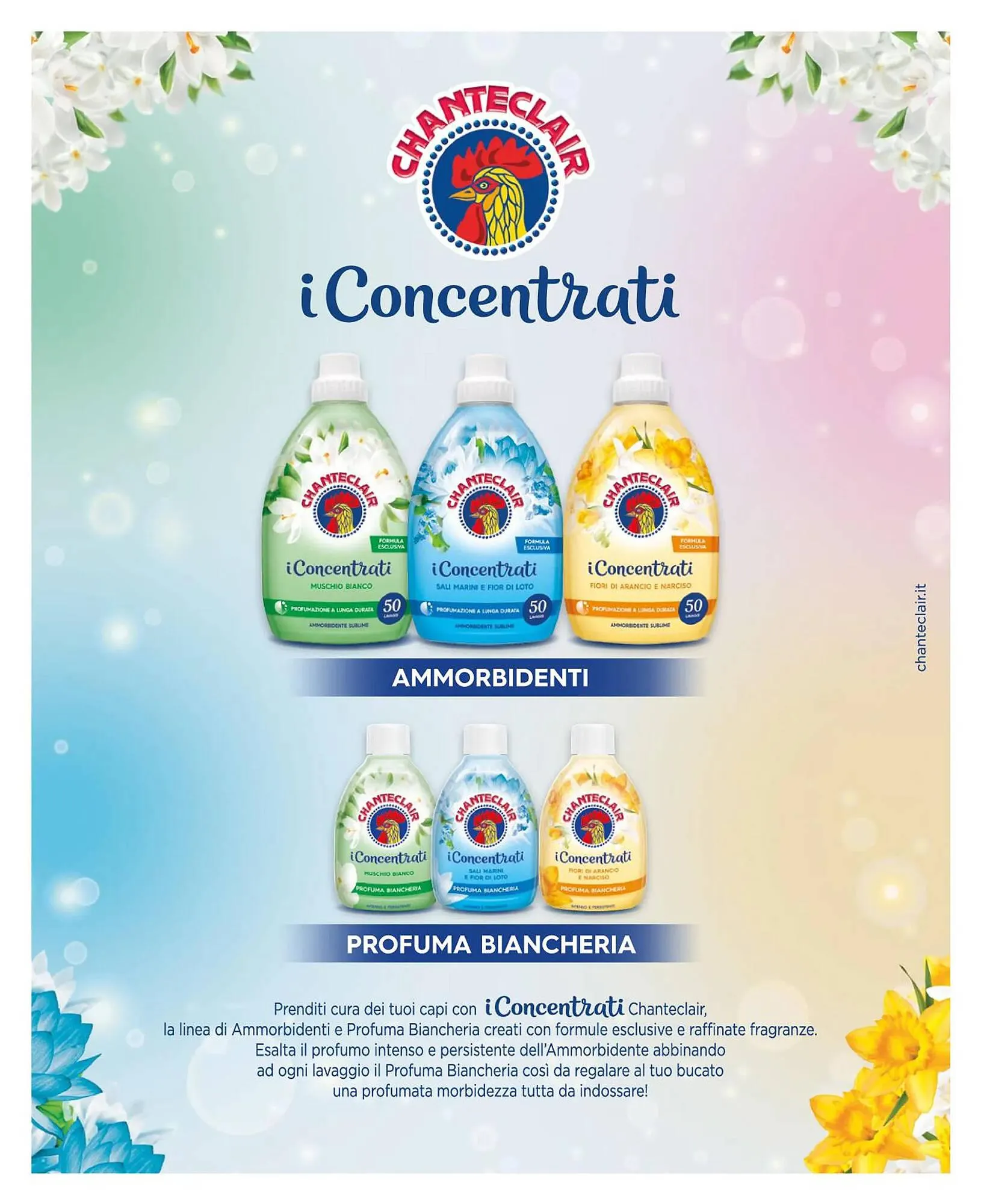 Volantino Italmark da 9 febbraio a 31 dicembre di 2024 - Pagina del volantino 43