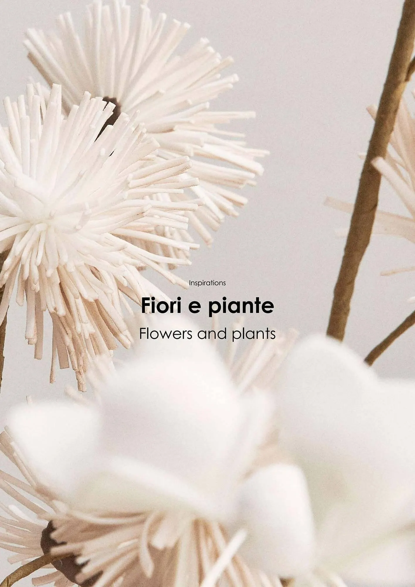 Volantino Bizzotto da 21 gennaio a 31 dicembre di 2025 - Pagina del volantino 137