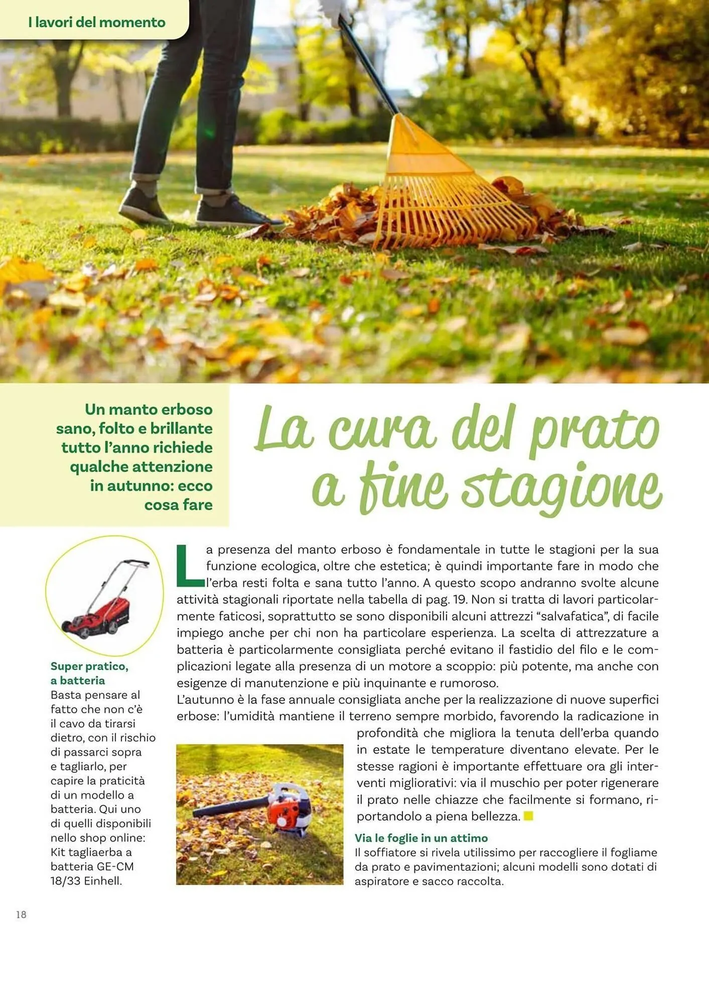 Volantino Viridea da 17 ottobre a 22 dicembre di 2025 - Pagina del volantino 18