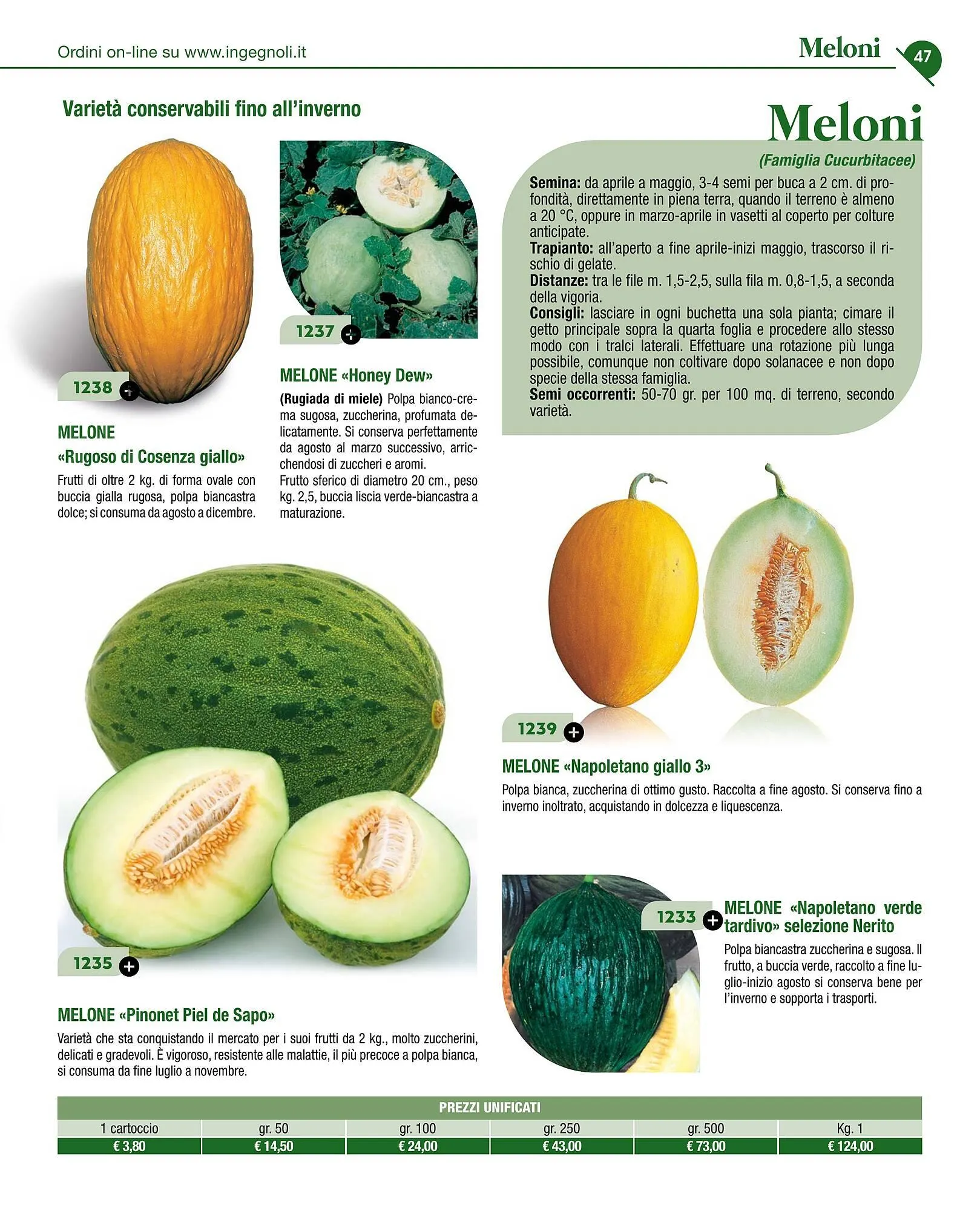 Volantino Ingegnoli da 4 novembre a 31 dicembre di 2025 - Pagina del volantino 49