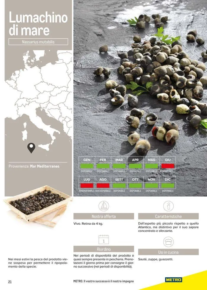 Catalogo Frutti di mare da 11 luglio a 31 luglio di 2025 - Pagina del volantino 21