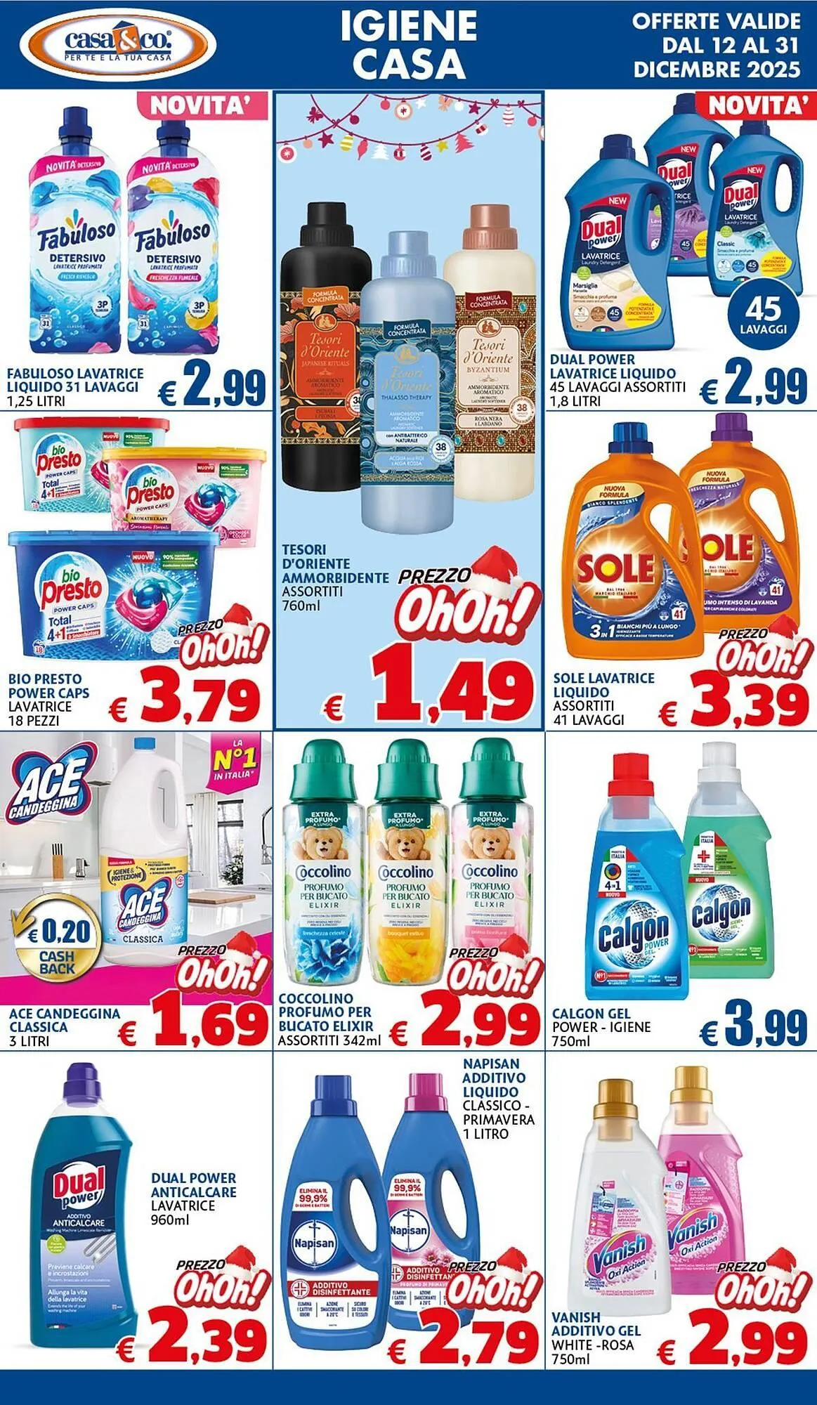 Volantino Casa & Co da 12 dicembre a 31 dicembre di 2025 - Pagina del volantino 19