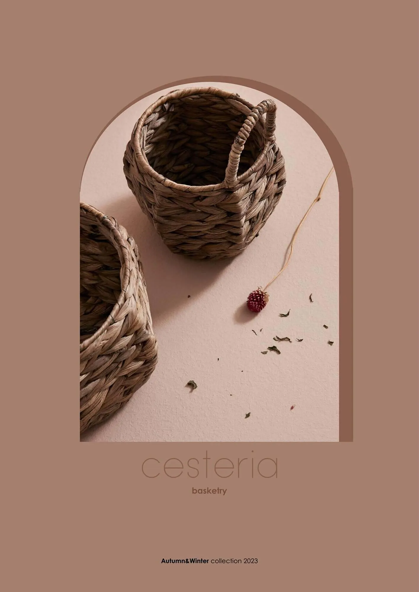 Volantino Bizzotto da 20 settembre a 28 dicembre di 2024 - Pagina del volantino 204