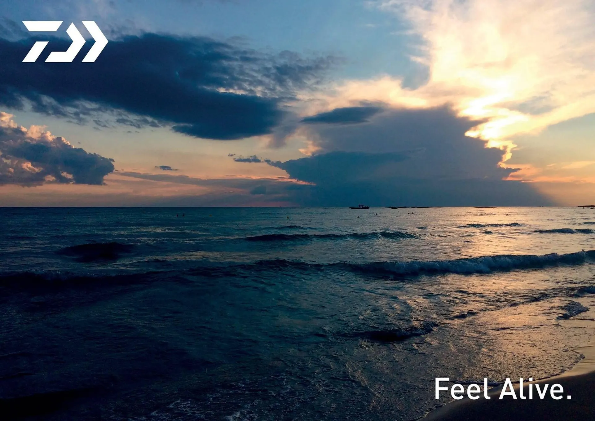 Volantino Daiwa da 13 dicembre a 30 dicembre di 2024 - Pagina del volantino 45