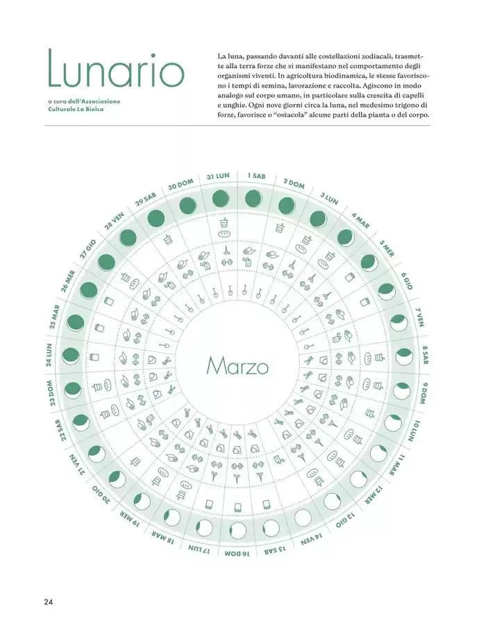 Primavera, una rinscita da condividere da 1 marzo a 30 aprile di 2025 - Pagina del volantino 24