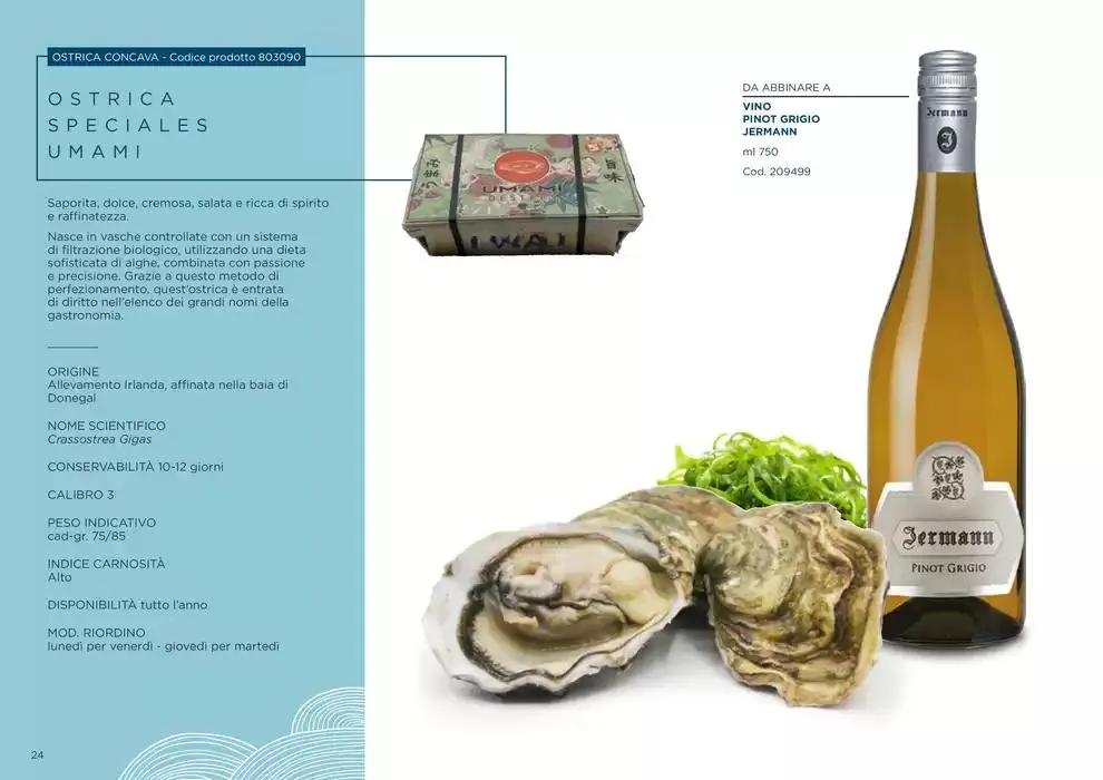 Centro Cash Ostriche da 4 dicembre a 31 gennaio di 2025 - Pagina del volantino 24