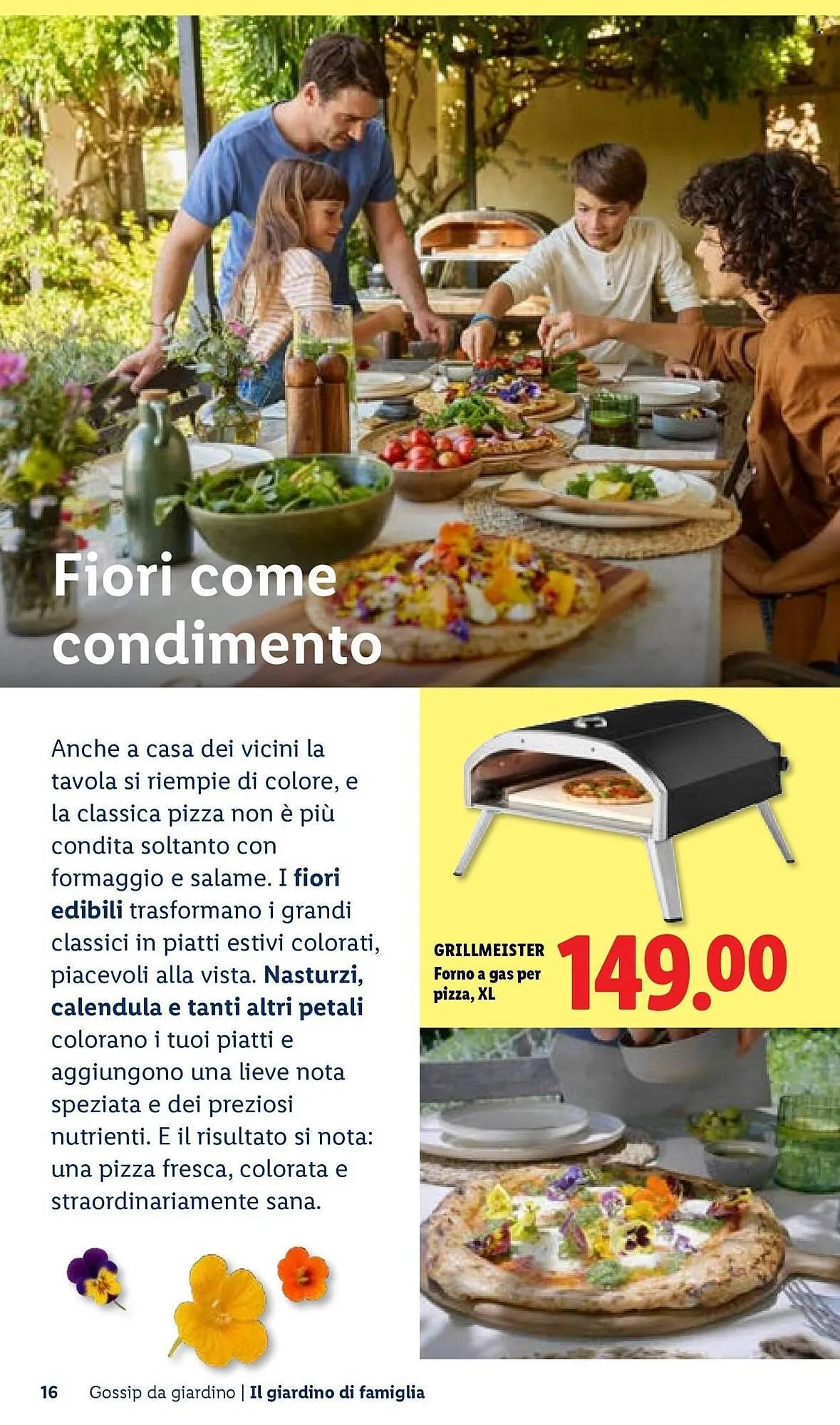 Volantino Lidl da 22 aprile a 30 aprile di 2026 - Pagina del volantino 16