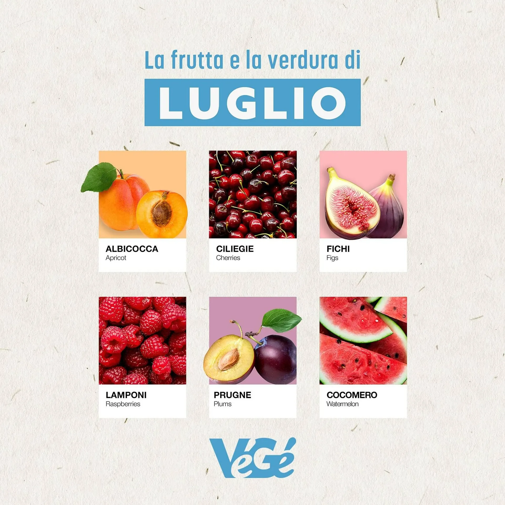 Volantino Gruppo VéGé - 1