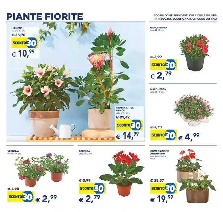 Festa dei fiori da 23 aprile a 6 maggio di 2025 - Pagina del volantino 3