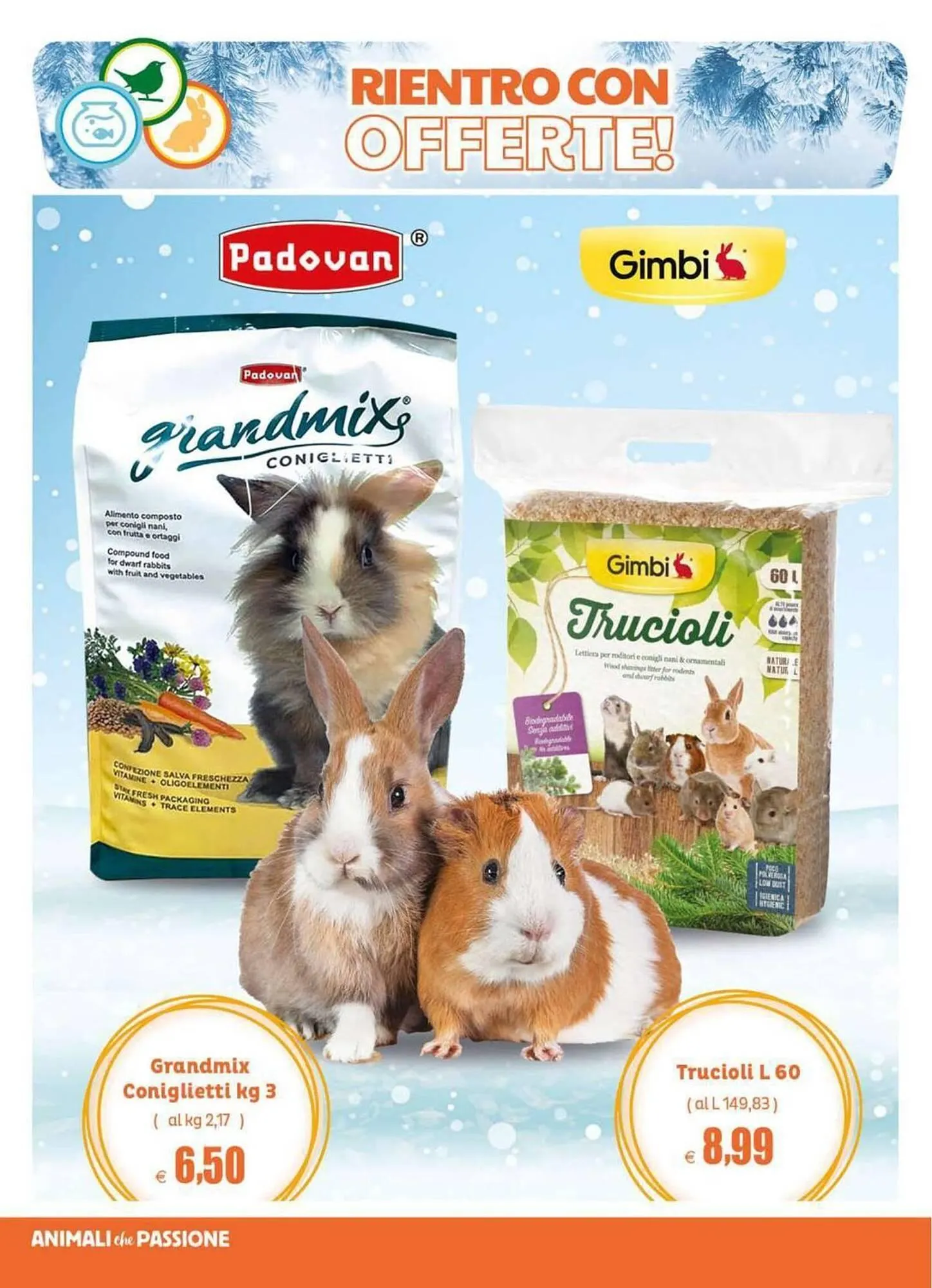 Volantino Elite Pet da 2 gennaio a 5 febbraio di 2026 - Pagina del volantino 14