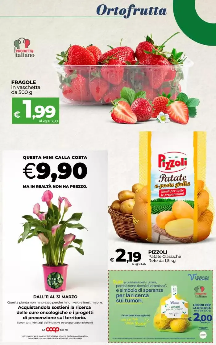 Risparmia con le nostre Offerte da 11 marzo a 20 marzo di 2025 - Pagina del volantino 11