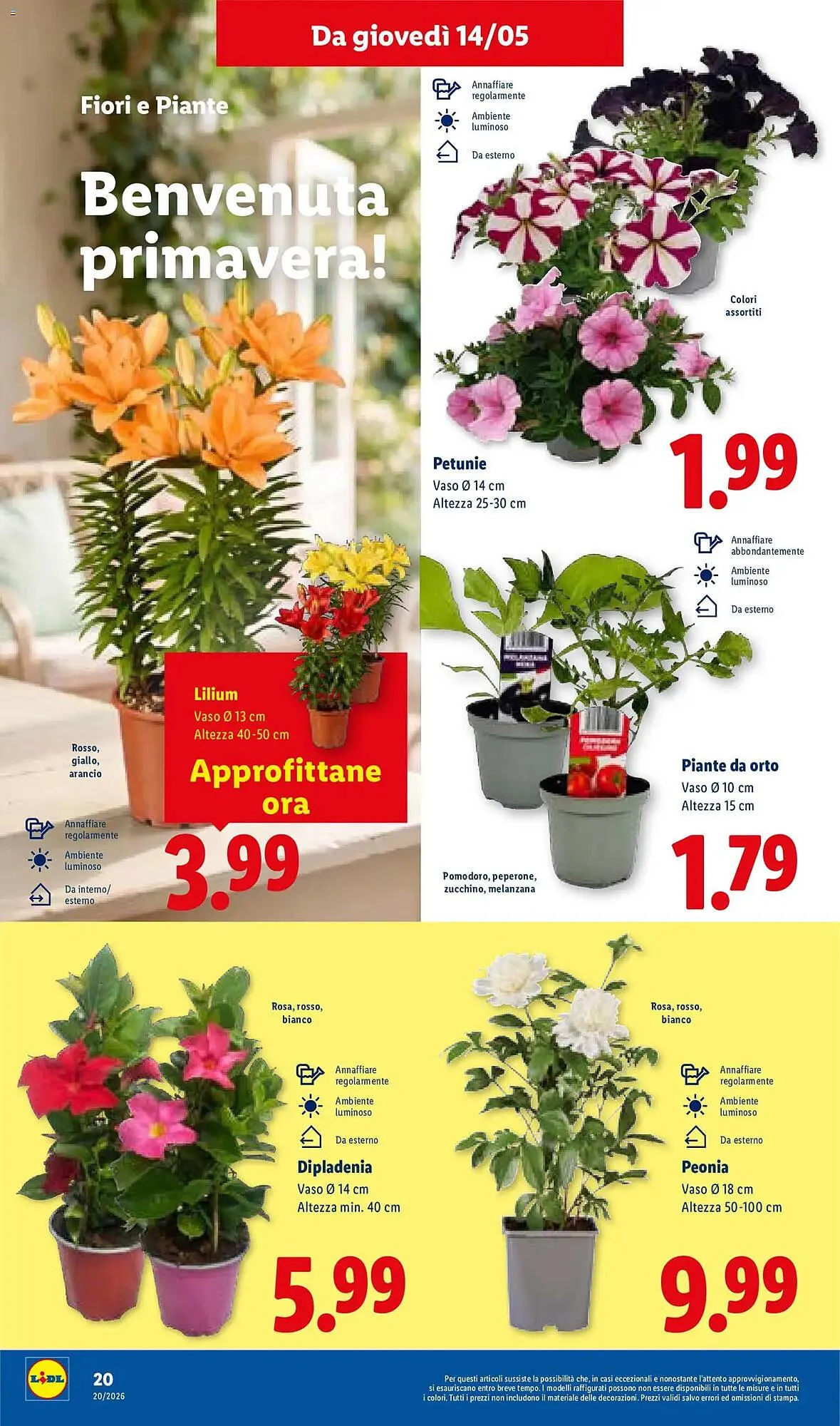 Volantino Lidl da 14 maggio a 20 maggio di 2026 - Pagina del volantino 28