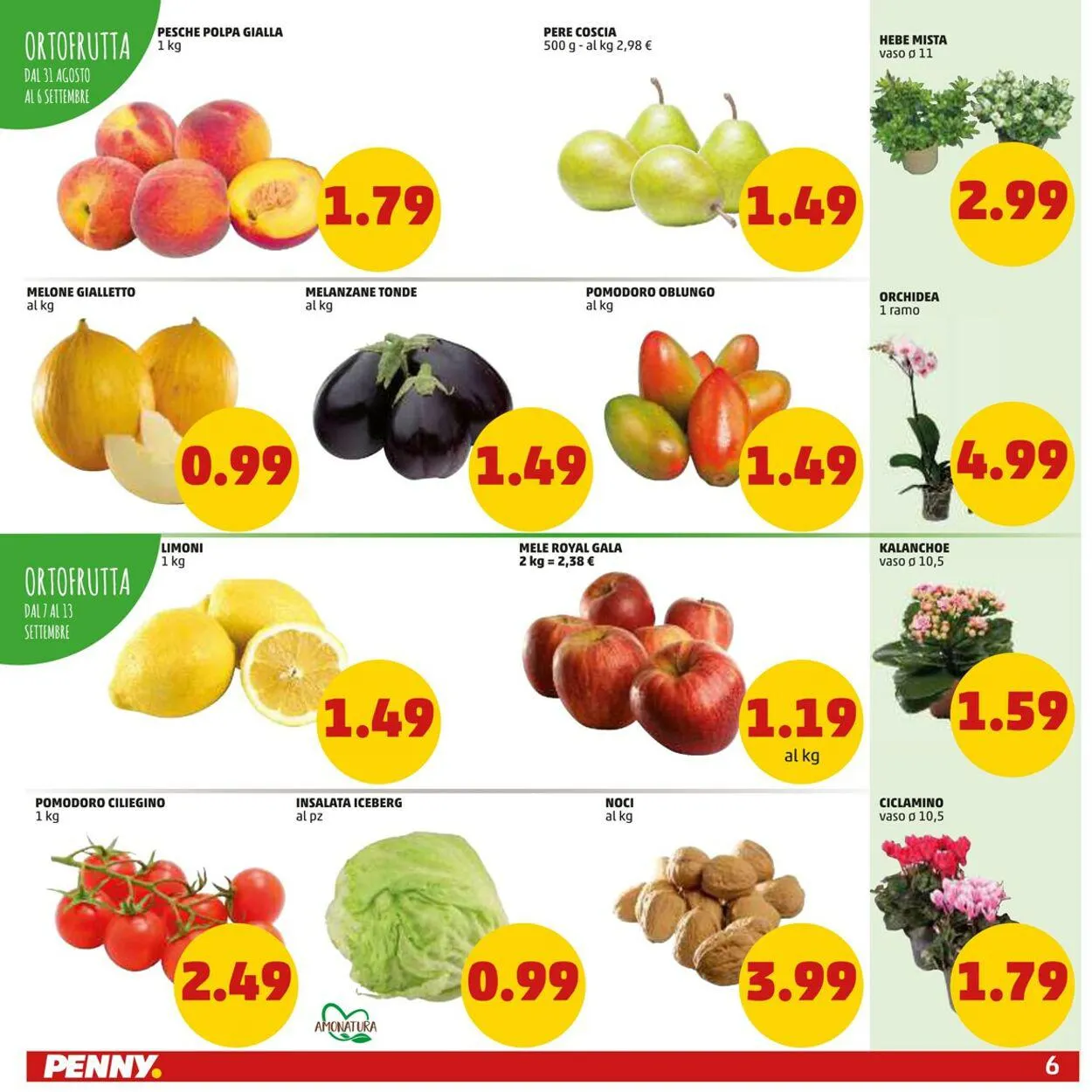 Penny Market Volantino attuale da 31 agosto a 10 settembre di 2023 - Pagina del volantino 6