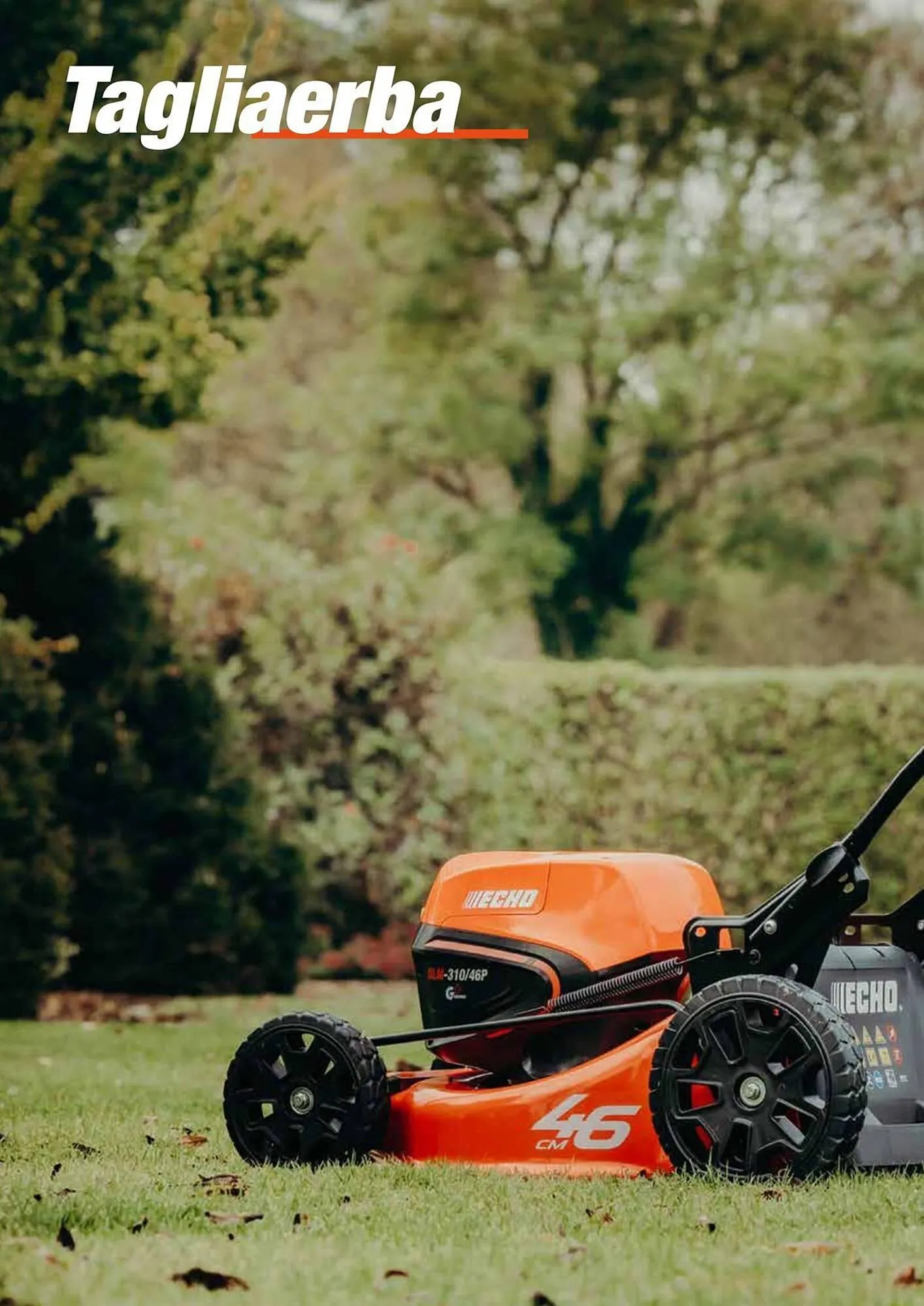 Volantino Echo da 17 febbraio a 31 dicembre di 2025 - Pagina del volantino 106