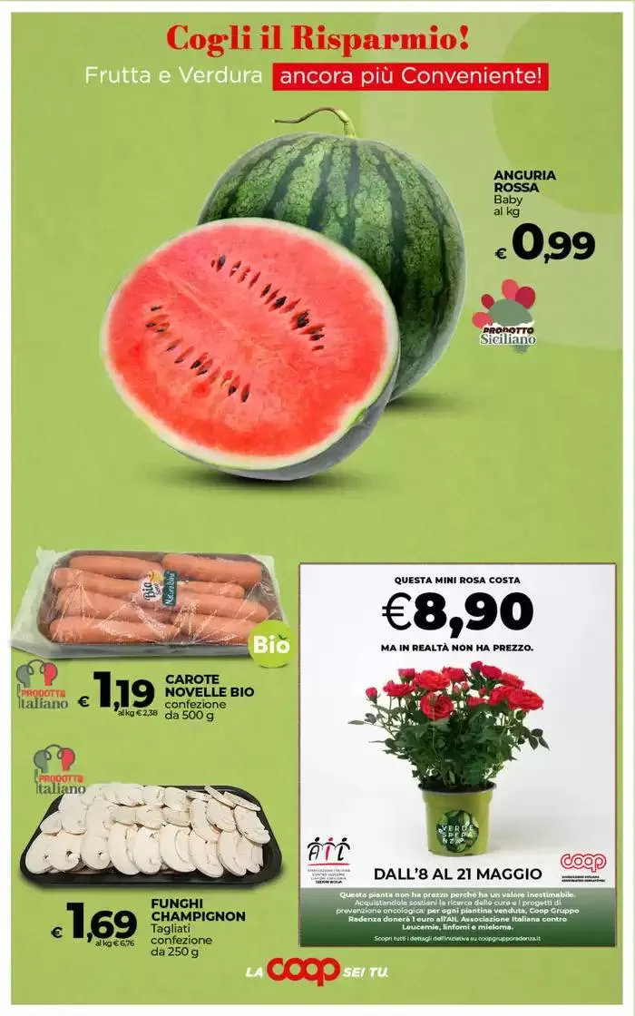 - 30% 40% 50% sulle Grandi Marche da 6 maggio a 19 maggio di 2025 - Pagina del volantino 24