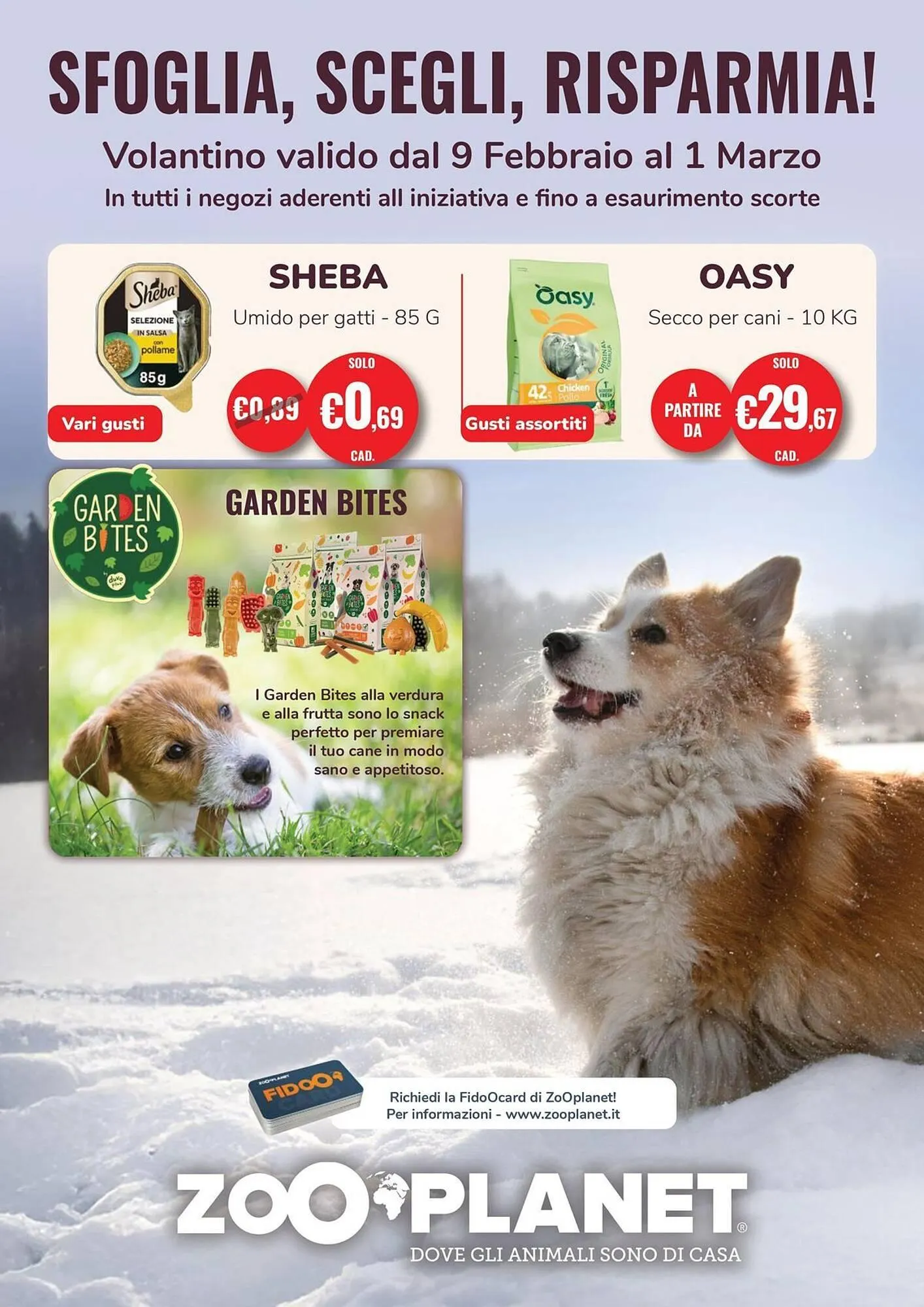 Volantino ZooPlanet da 9 febbraio a 1 marzo di 2026 - Pagina del volantino 1