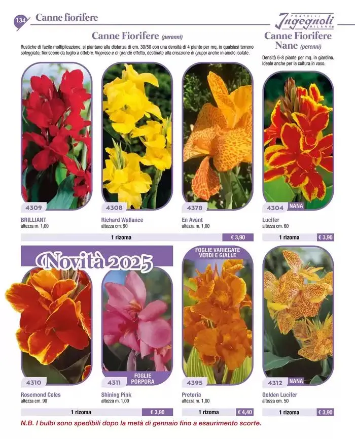 Catalogo guida 2025 da 20 gennaio a 31 dicembre di 2025 - Pagina del volantino 136