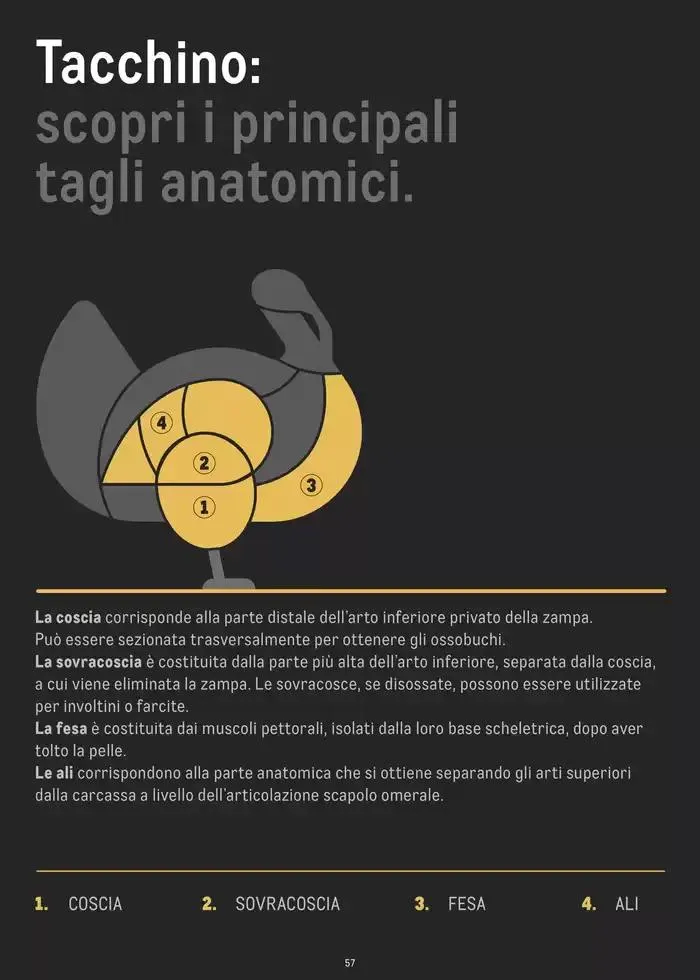 CATALOGO CARNE 2024 da 2 gennaio a 31 agosto di 2025 - Pagina del volantino 57